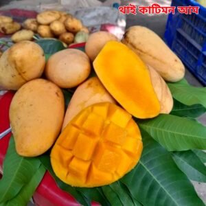 ৪. কাটিমন